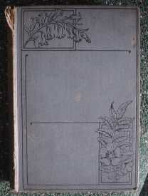 Image for Our Little Life: Essays Consolatory and Domestic with Some Others