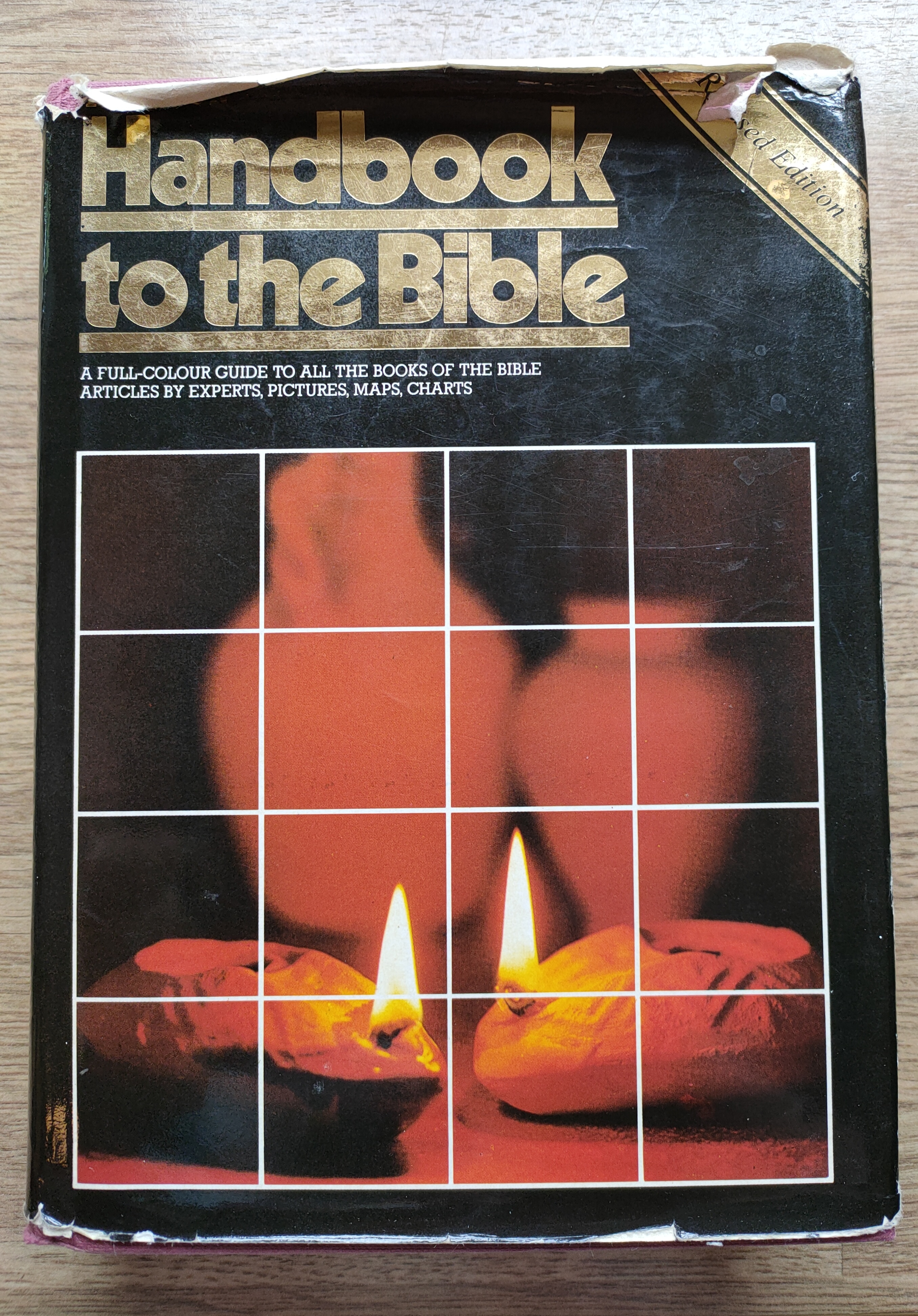Image for The Lion Handbook to the Bible