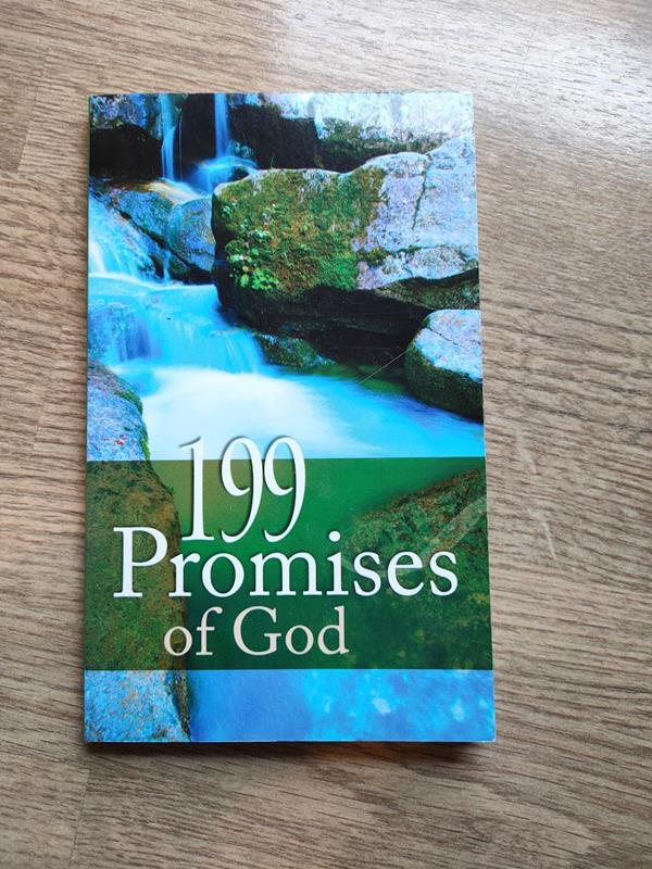 Image for 199 Promises of God (Value Books)