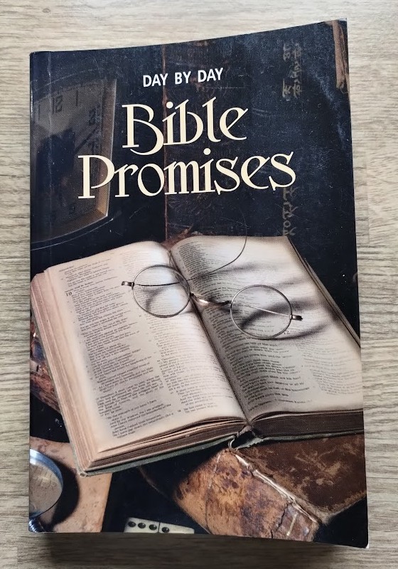 Image for Day by Day: Bible Promises