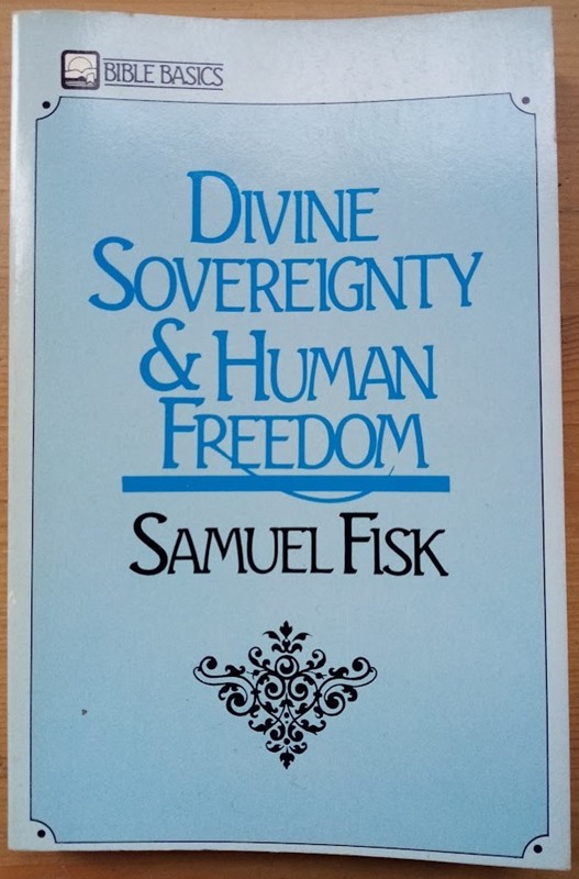 Divine Sovereignty and Human Freedom (Bible Basics)