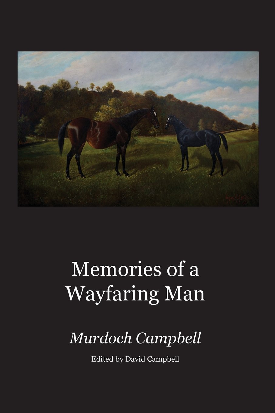 Image for Memories of a Wayfaring Man