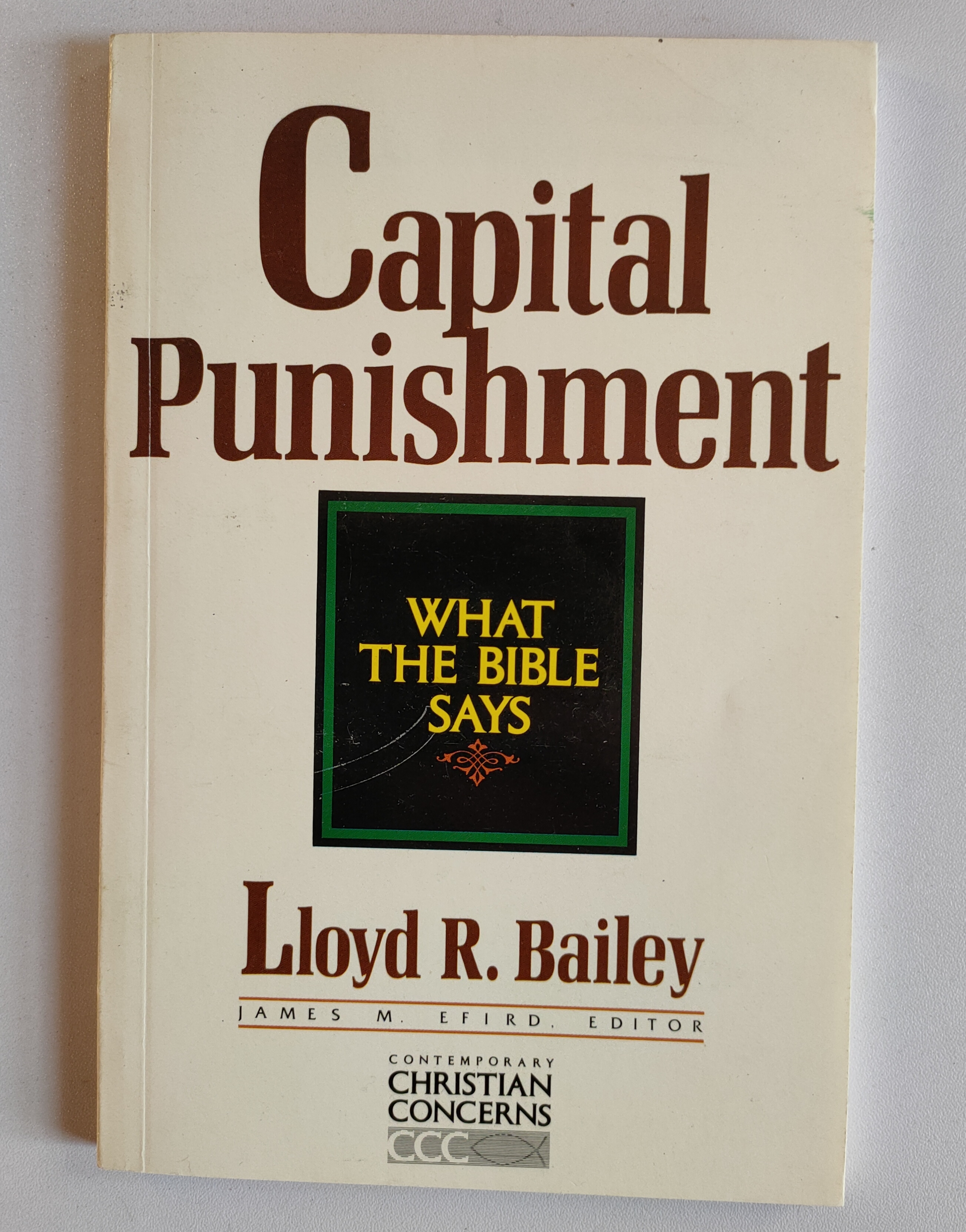 Image for Capital Punishment: What the Bible Says (Contemporary Christian Concern Series)