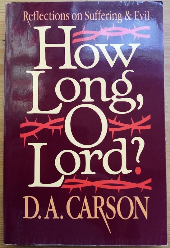 How Long, O Lord Reflections on Suffering and Evil