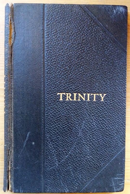 Trinity: by a Layman: Some Thoughts Upon God's Revelation of Himself in the Personalities of the Father, the Saviour and the Abiding Spirit: With a Supplement Written by the Rev Marcus S Bergmann
