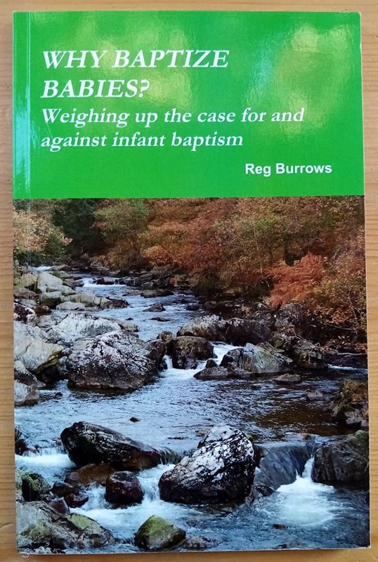 Why Baptize Babies Weighing Up the Case for and against Infant Baptism