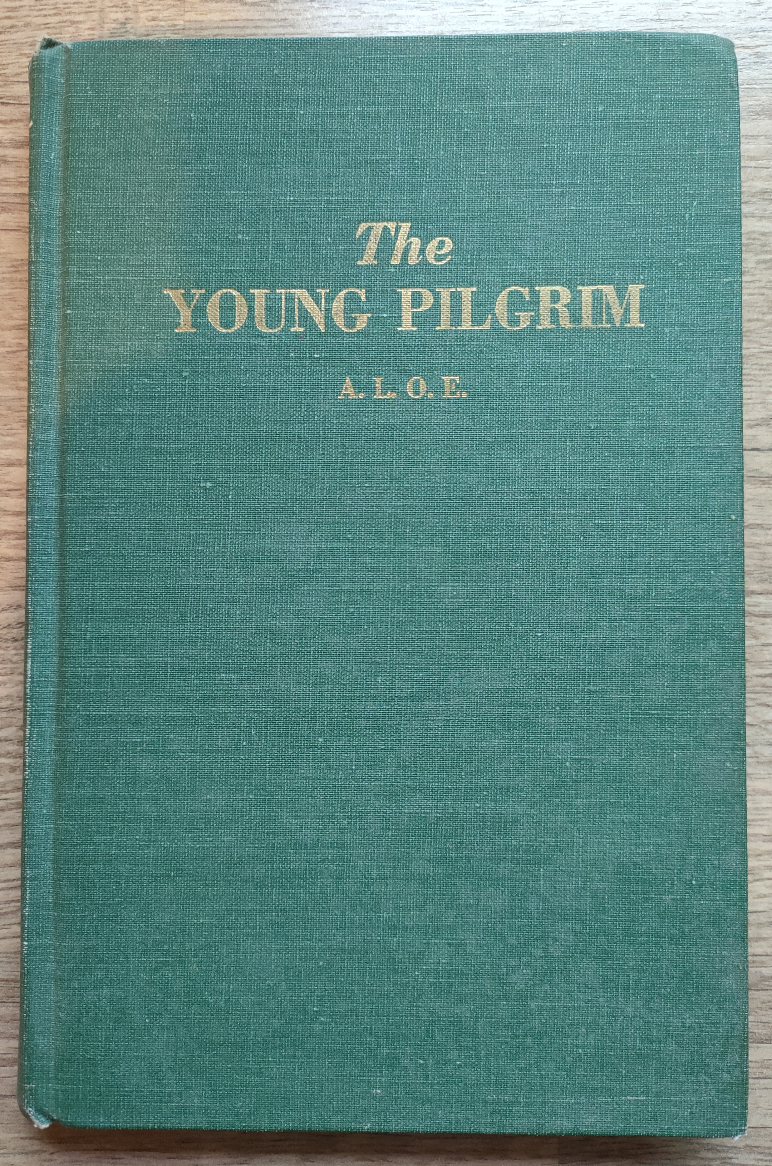 Image for The Young Pilgrim