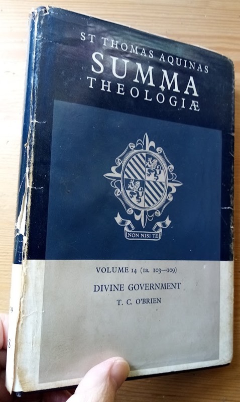 Summa Theologica: Volume 14: Divine Government (1a. 103-109)