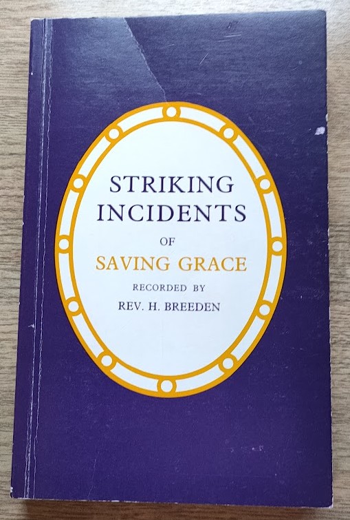 Image for Striking Incidents of Saving Grace
