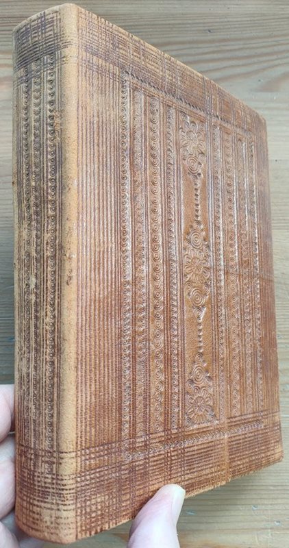 Image for The Newberry Bible The Newberry Bible