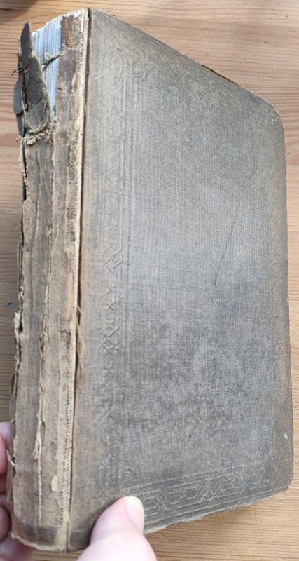 The Protestant Reformation in All Countries: Including Sketches of the State and Prospects of the Reformed Churches: A Book for Critical Times