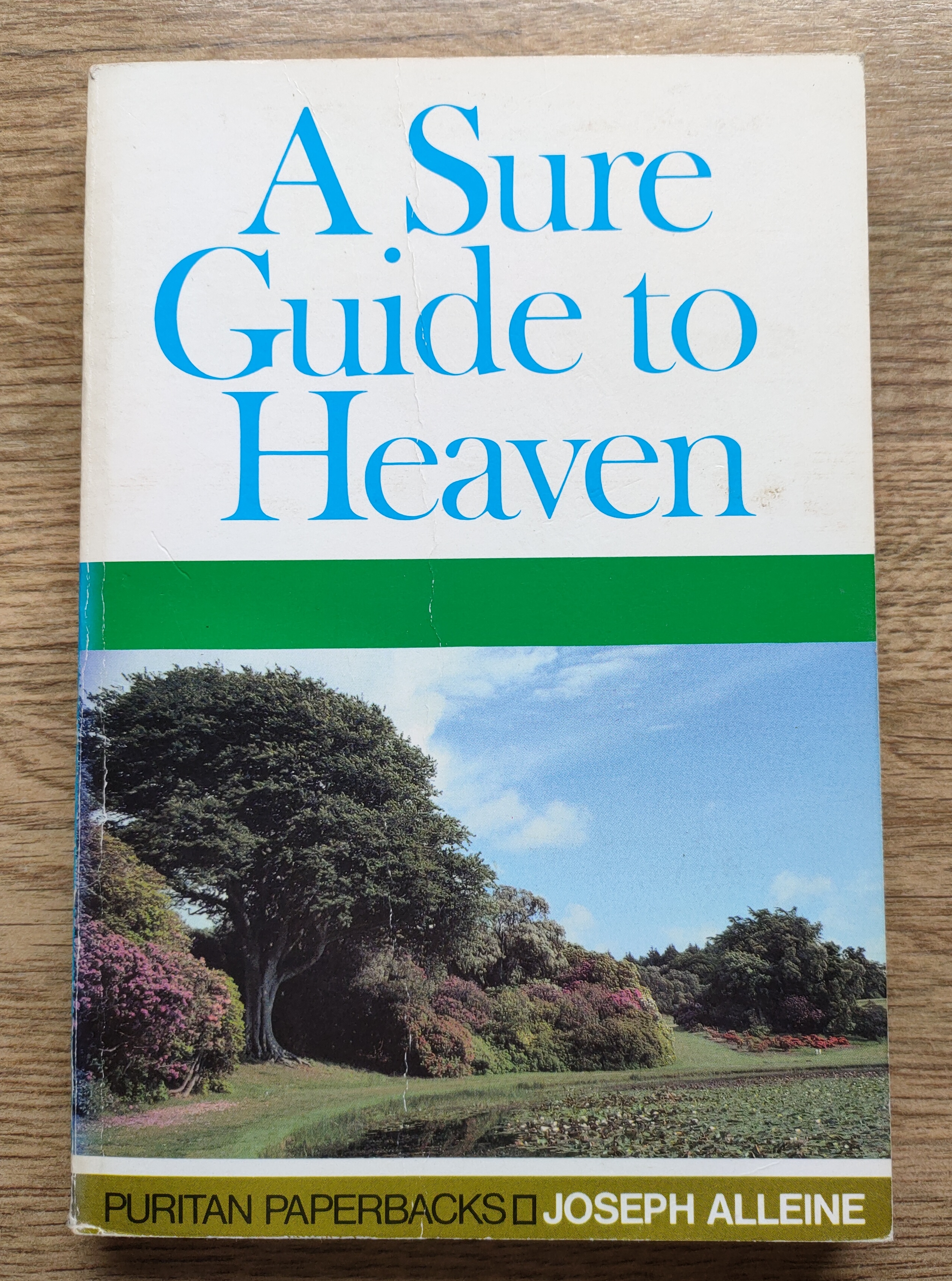 Image for A Sure Guide to Heaven [also published as An Alarm to the Unconverted] (Puritan Paperbacks No 5)