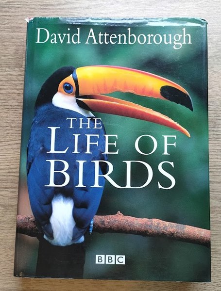 Image for The Life of Birds