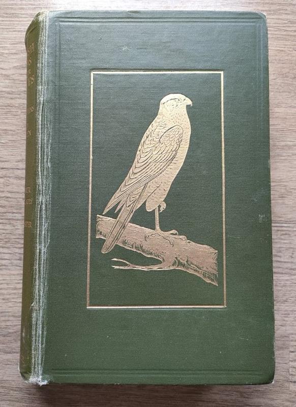 Image for British Birds in Their Haunts