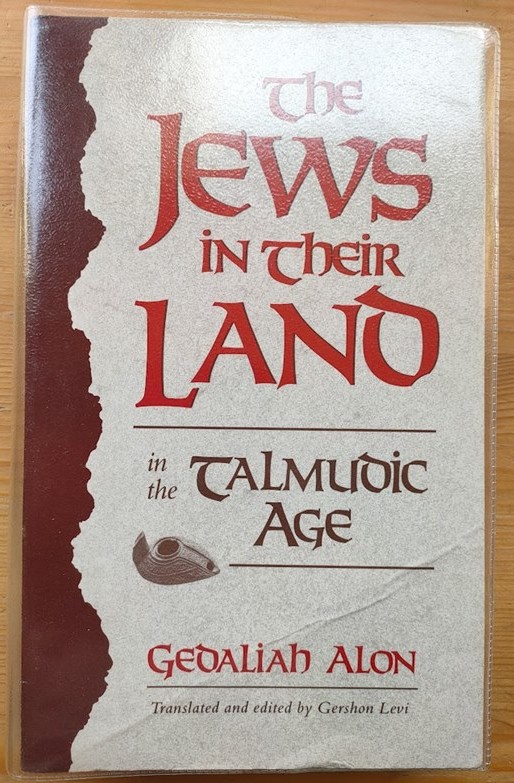 Image for The Jews in Their Land in the Talmudic Age (70 - 640 C.E.) The Jews in Their Land in the Talmudic Age (70 - 640 C.E.)